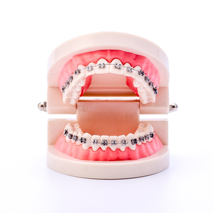 Brackets falsos para los dientes fáciles de colocar - Product Image 3