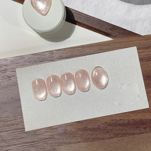 AILANUO Esmalte de Uñas en Gel Efecto Ojo de Gato Aurora de 6 Colores - Serie Ojo de Gato Magnético TPO - Esmalte de Uñas en Gel UV Sin HEMA OEM/ODM - Product Image 3