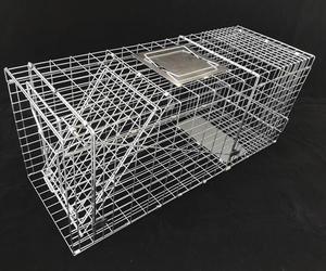 Vente chaude Pliable En Métal Galvanisé Chat Piège <span class=keywords><strong>Cage</strong></span> <span class=keywords><strong>Rat</strong></span> Piège Cages à Vendre - Product Image 2