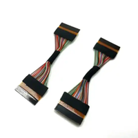Panjang 50mm Fpc 24T * 2 kabel-PEXPN20454-30P * 2 Led Lvds kawat Harness produsen