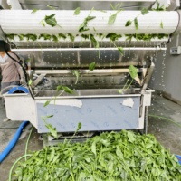 Hexu Aanpasbare Multifunctionele Wasautomaat voor Groenten, Fruit, Koffiebonen, Noten, Mais, Granen en Spinazie met Pomp