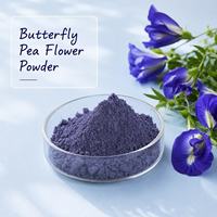Poudre d'extrait sec de Premium Evolvulus Alsinoides Shankhpushpi, ingrédient botanique naturel pour complément alimentaire nutraceutique