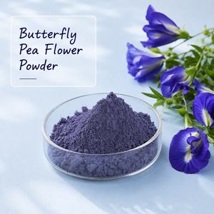 Poudre d'extrait sec de Premium Evolvulus Alsinoides Shankhpushpi, ingrédient botanique naturel pour complément alimentaire nutraceutique - Product Image 3