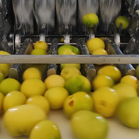 Ligne de production automatique de jus concentré de citron 10-100 tonnes par jour Ligne de production de traitement des boissons