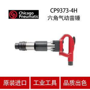 Marteau pneumatique hexagonal CP9373 4H pour la démolition et la fabrication - Product Image 4