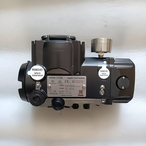 Régulateur de pression intelligent antidéflagrant en acier inoxydable avec filtre Tissin TS900 TS905 - Product Image 6
