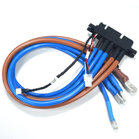 Conjunto de Cable de Alimentación de Alto Voltaje Personalizado para Vehículos Eléctricos, Arnés de Cables de 1000V con Terminal de Anillo y Conector de Señal para Módulo de Carga