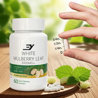 Capsules de feuilles de mûrier blanc 3000mg en gros, OEM, ODM, marque privée, sans OGM, sans gluten, complément alimentaire à base de plantes pour le soutien immunitaire