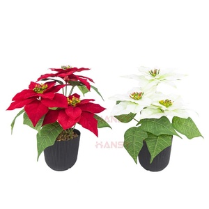 Flores Navideñas Artificiales H543, <span class=keywords><strong>Flor</strong></span> <span class=keywords><strong>de</strong></span> <span class=keywords><strong>Pascua</strong></span> en Macetas <span class=keywords><strong>de</strong></span> Plástico, Popular para Decoración Navideña <span class=keywords><strong>de</strong></span> Escritorio, Hogar y Sala <span class=keywords><strong>de</strong></span> Estar - Product Image 3