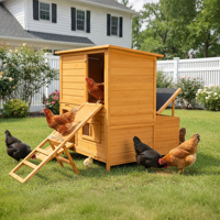 Poulailler Moderne en Bois pour Jardin, avec Escalier Pliant en Trois Sections, Double Plateau Amovible, Perchoir pour Poulets, Idéal Petites Volailles, Étanche