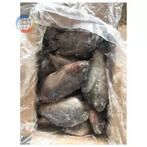 <span class=keywords><strong>Tilapia</strong></span> <span class=keywords><strong>du</strong></span> <span class=keywords><strong>Nil</strong></span> frais congelé pour ferme piscicole ronde entière avec emballage en vrac - Product Image 2