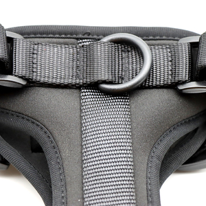 Arnés Ajustable para Perro de Nailon Acolchado con Cierre de Hebilla, Color Sólido, Estilo Simple para Perros - Product Image 6