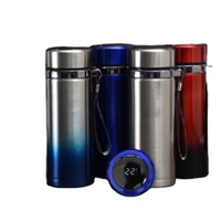 Bouteille isotherme à Led en acier inoxydable, 350 ml, grand capacité, avec fonction de rappel intelligent, Thermos et affichage de la température, bouteille d'eau