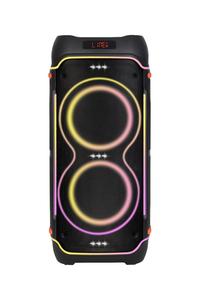 Ndr पेशेवर वायरलेस कराओके स्पीकर 2*10 इंच rgb नेतृत्व प्रकाश dj ws आउटपुट प्लास्टिक x रिमोट कंट्रोल फैशन कंप्यूटर - Product Image 4