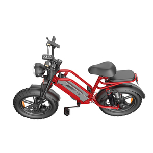 จักรยานยางอ้วนขนาด 20 นิ้ว รุ่นใหม่ปี 2023 48V 750w 1500W จักรยานเสือภูเขา จักรยานยางอ้วนในเมือง DUNCHI - Product Image 5