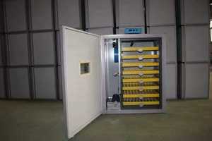 자동 계란 선회 500 닭 계란 인큐베이터 공장 공급 - Product Image 5