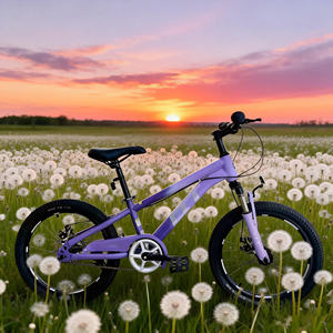 Vélo d'entraînement pour enfants Hebei HyPod modèle 20, pour garçon de 14 ans, <span class=keywords><strong>BMX</strong></span>, vélo de rue, vélo pour enfants - Product Image 4