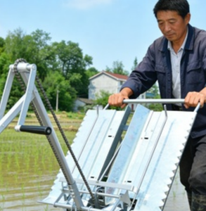 Trasplantadora de Arroz de 2 Filas, Trasplantadora de Arroz para Arrozales, Máquina Agrícola para Plantar Arroz - Product Image 1