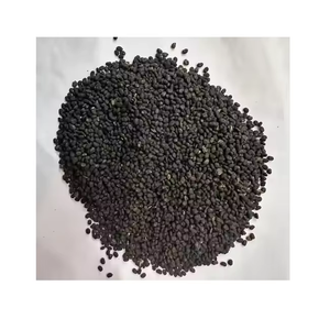 Graines de Bakuchi Naturelles (Psoralea Corylifolia) Qualité Alimentaire Biologique Vente en Gros à l'Exportation - Product Image 4