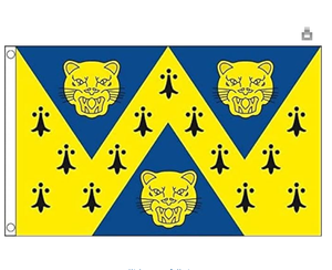 Bandera de Rugby de Inglaterra 3x5 pies, Poliéster 100D, Bandera del Condado de Staffordshire con Dos Ojales Metálicos - Resistente a la Decoloración - Colores Vivos - Product Image 5
