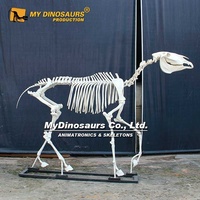 MyDino Squelette d'animal Modèle de cheval grandeur nature