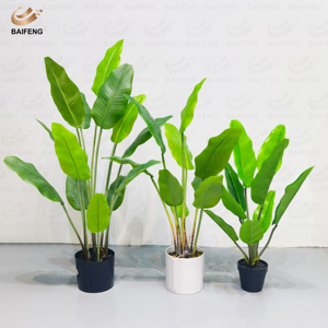 <span class=keywords><strong>Planta</strong></span> Artificial de Plástico PE Personalizada de Fábrica, <span class=keywords><strong>Planta</strong></span> en Maceta de Plátano/<span class=keywords><strong>Canna</strong></span>, Decoración Interior/Exterior, Ecológica, Perenne y Duradera - Product Image 5