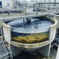 Cloruro de Polialuminio (PAC) de Grado Potable, Coagulante para Purificación de Agua del Grifo con Bajo Contenido de Metales Pesados