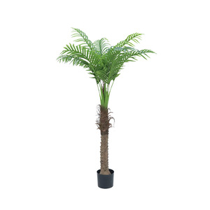 Arbre de coco artificiel Dream Castle 200 cm+, décoration intérieure et extérieure en plastique, plante tropicale, accessoires de mariage et de décoration intérieure - Product Image 5