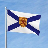 Drapeau de l'île de la Nouvelle-Écosse en polyester 3x5 pieds pour décoration extérieure – Vente en gros, Nouveauté