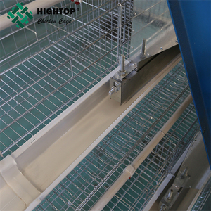Calidad de fábrica los huevos de las gallinas ponedoras usando para jaula de pollo avícoles la agricultura en Pakistán - Product Image 1