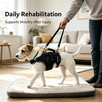 Attelle dorsale pour animaux de compagnie OEM ODM avec ressorts métalliques intégrés en néoprène pour la prévention des blessures vertébrales et de la spondylose, attelle dorsale pour chien