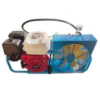 Compresor de Aire Portátil de Alta Presión 30Mpa 300bar 4500psi para Buceo y Inflado de Cilindros de Seguridad contra Incendios