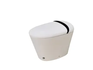 2023 Luxe Professionele Moderne Badkamer Elektrische Bidet Sanitaire Wc Toiletpot Automatisch Intelligent Mat Zwart Smart Toilet