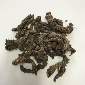 1019 Xie cao gen root Valeriana officinalis, оптовая продажа, экстракт корня валерианы - Product Image 3
