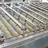 Hoge Kwaliteit Hoge Efficiëntie Wassen Roller Borstel Fruit Groente Machine