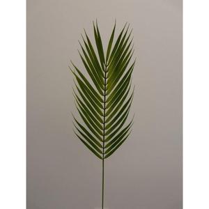 Foglia di Feto 74CM GR - Product Image 1