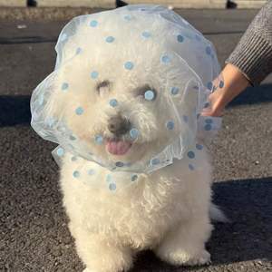 Capuche en maille respirante anti-morsure pour chat et chien, pour éviter de lécher les plaies en <span class=keywords><strong>erreur</strong></span> - Product Image 3