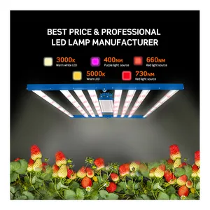 Led Grow Light best Full Spectrum 720w 820W 1000W light With IP65 Approved For Indoor Hydroponic Growing System Led Grow Light