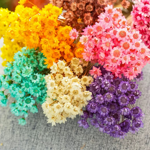 Fleurs séchées brésiliennes naturelles pas chères, mini marguerites séchées pour la fête des mères, la Saint-Valentin, Noël, préservation - Product Image 2