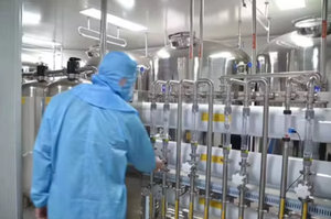 OEM Hoge Kwaliteit Op Maat Gemaakt Merk Probiotische Pasta Supplementen Gel Appel Smaak voor Gezondheid - Product Image 3