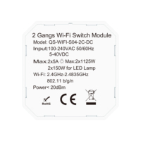 Module de commutation sans fil intelligent AC/DC 2 gangs, Wi-Fi, Zigbee 3.0, RF433, étanche, 2*10A, télécommande, 100-240V, contact sec NO/NC