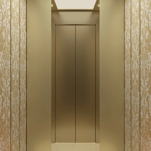 Ascensor de Pasajeros OTIS Personalizado, Diseño Moderno, 1000 kg, Accionamiento por CA, para Centros Comerciales, Precio de Elevador para Edificios - Product Image 1