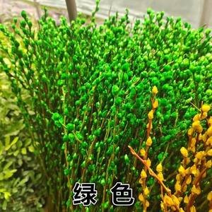 Saule argenté <span class=keywords><strong>fleur</strong></span> sèche vraie <span class=keywords><strong>fleur</strong></span> branche fraîche plante hydroponique rouge saule argenté nouvel an <span class=keywords><strong>nuit</strong></span> salon décoration - Product Image 5