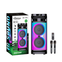 Altavoz de Karaoke Bluetooth con Micrófono, Altavoz para Fiestas al Aire Libre, Altavoz de Karaoke Dual de 8 Pulgadas con Micrófono y Bluetooth