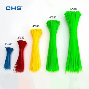 CHS 4.6*200 Affordable And Practical Nylon Cable Ties Naughty Castle Color Self-locking Detachable Cable Ties