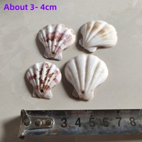 Coquillages Naturels Blancs et Multicolores en Forme de Coquille Saint-Jacques, Étoile de Mer, Corail, Coque de Coquillage, Perceés, Semi-Finies, pour la Fabrication Artisanale de Perles Libres