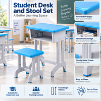 Ensemble Chaise et Pupitre Scolaire OEM ODM en Plastique, Hauteur Fixe avec Plateau Optionnel, pour Distributeurs