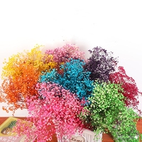 Bunga Gypsophila Baby's Breath Alami yang Diawetkan, Tampilan Kering Abadi untuk Dekorasi Pernikahan, Kerajinan Tangan, Pembuatan Buket