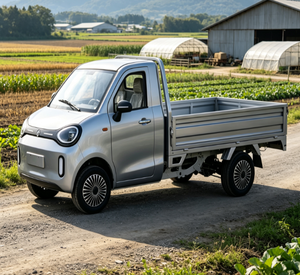Mini véhicule utilitaire électrique commercial avec système de freinage à disque avant et à tambour arrière, capacité de chargement élevée, <span class=keywords><strong>camion</strong></span> utilitaire électrique équipé - Product Image 2