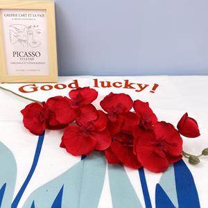 Flores de Orquídea Phalaenopsis de Seda de Lujo con <span class=keywords><strong>8</strong></span> Cabezas, Tacto Real, para Decoración de Bodas, Flor de Orquídea Artificial - Product Image 6